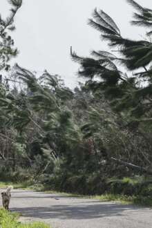 Impacto da tempestade Kristin